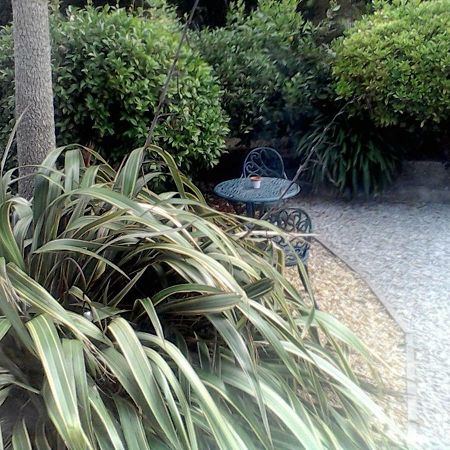 Baytree B&B Чарлстаун Екстер'єр фото